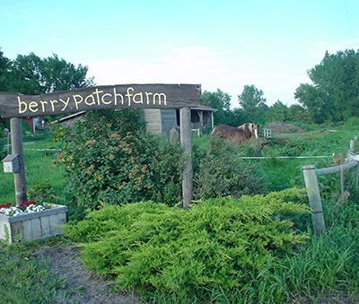 fields, horse, wooden sign 'berry patch farm'