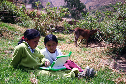 fields, animal, girls using special computer'